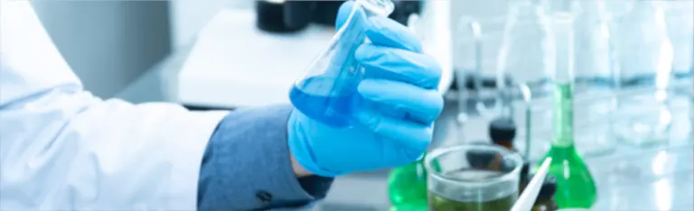 Consultoría en Estudios con Vasko