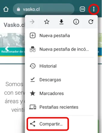 Comparte esta web Vasko en tus redes sociales